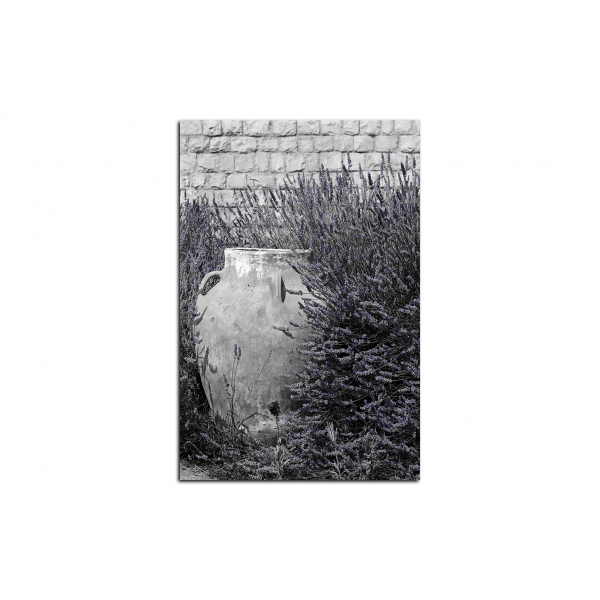Obraz na plátně - Amfora v levandulovém keři - obdélník